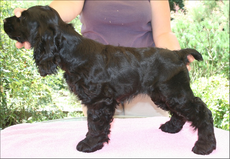 First-kiss de l'Isle aux Lutins