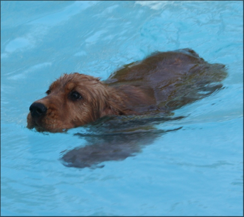 Folamour de l'Isle aux Lutins