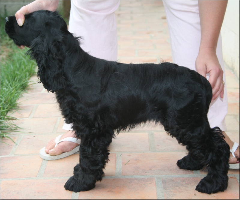 First-kiss de l'Isle aux Lutins