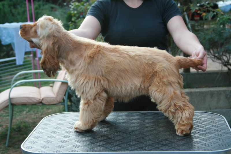 Enjoy girl de l'Isle aux Lutins