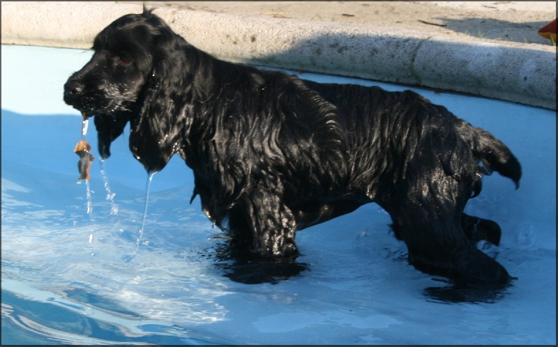 First-kiss de l'Isle aux Lutins