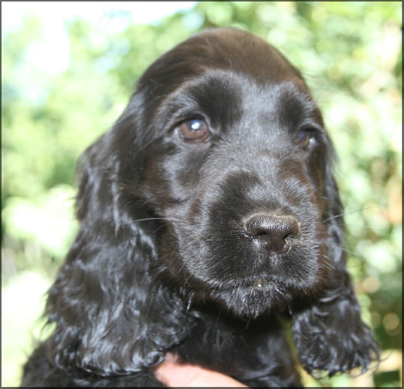 First-kiss de l'Isle aux Lutins