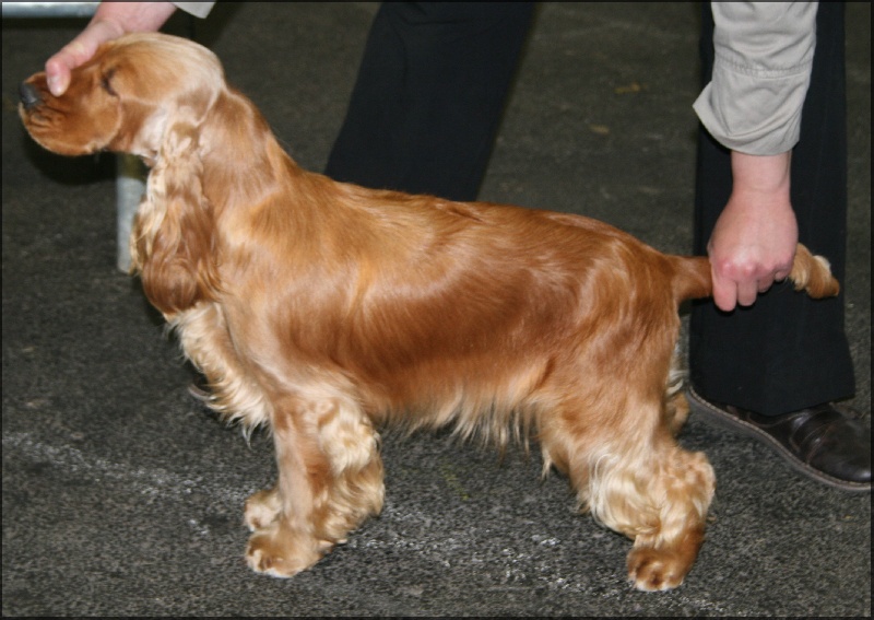 Enjoy girl de l'Isle aux Lutins