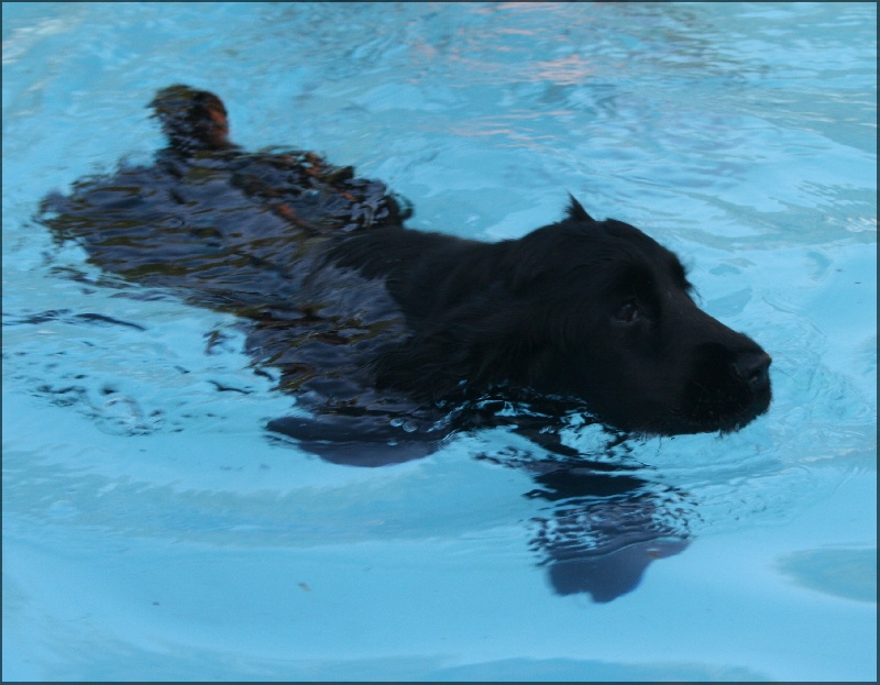 First-kiss de l'Isle aux Lutins