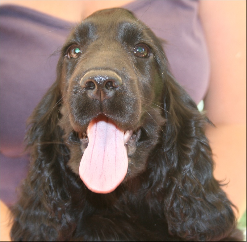 First-kiss de l'Isle aux Lutins