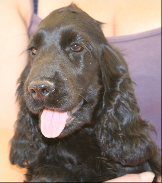 First-kiss de l'Isle aux Lutins