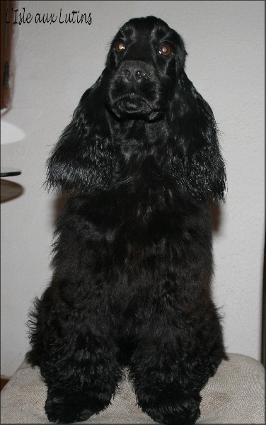 First-kiss de l'Isle aux Lutins