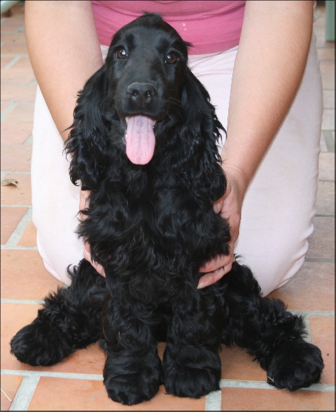 First-kiss de l'Isle aux Lutins