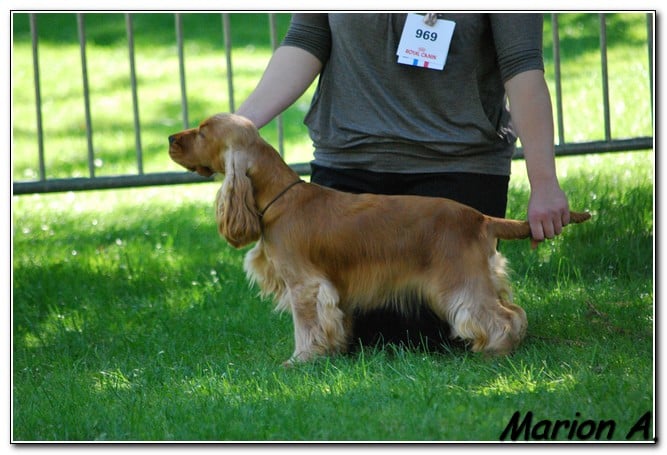 Enjoy girl de l'Isle aux Lutins