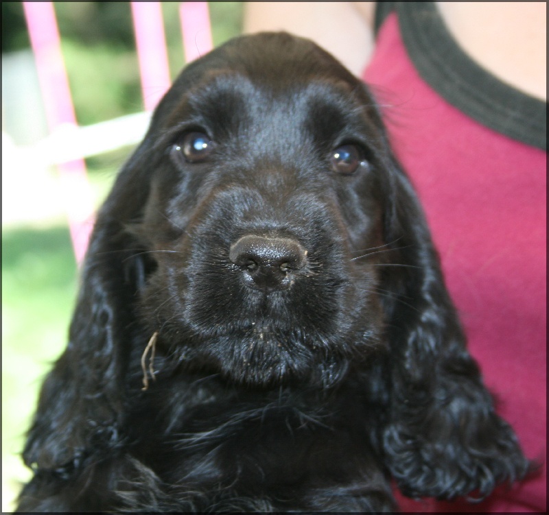 First-kiss de l'Isle aux Lutins