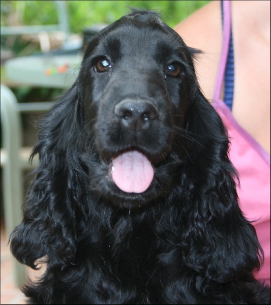 First-kiss de l'Isle aux Lutins