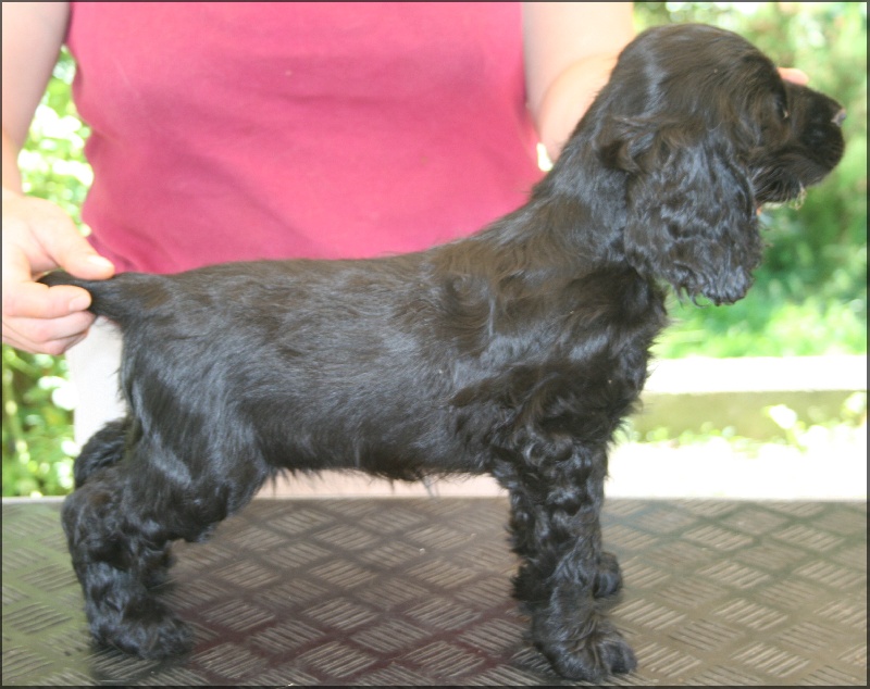 First-kiss de l'Isle aux Lutins