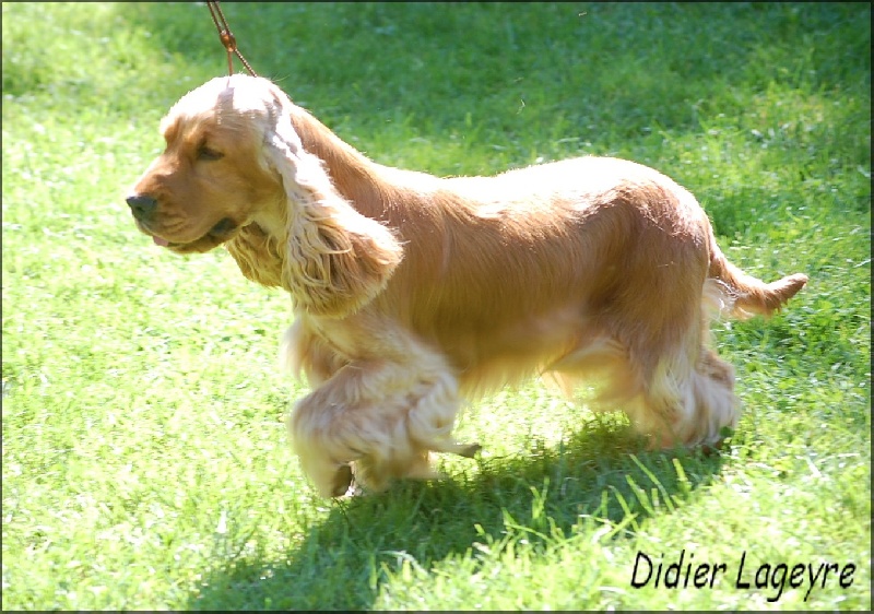 Enjoy girl de l'Isle aux Lutins