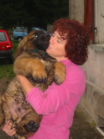 CH. Ballisto quimm charme byzance dit balkim du Mont de Gaïa