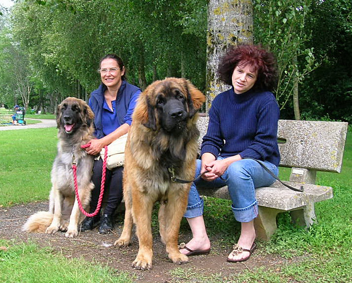 CH. Ballisto quimm charme byzance dit balkim du Mont de Gaïa