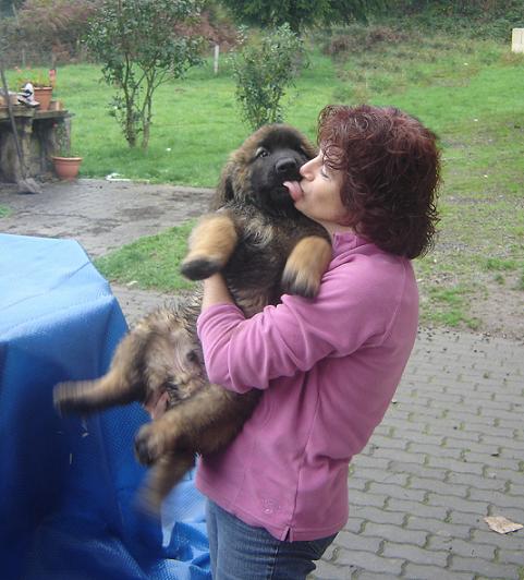 CH. Ballisto quimm charme byzance dit balkim du Mont de Gaïa