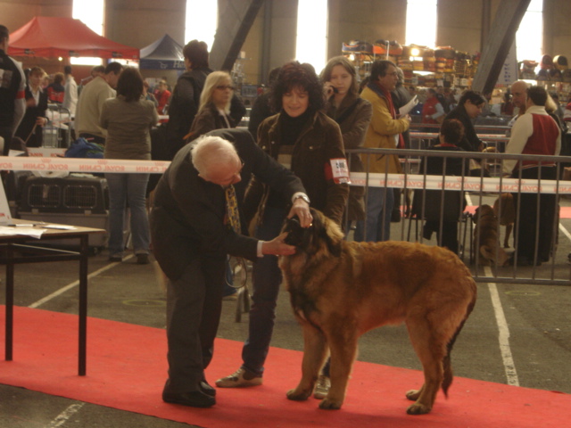 CH. Ballisto quimm charme byzance dit balkim du Mont de Gaïa