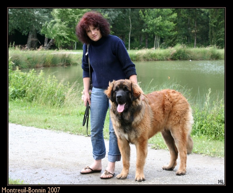 CH. Ballisto quimm charme byzance dit balkim du Mont de Gaïa