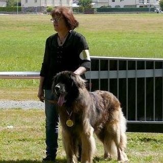 C'valentino arc en ciel des Amis d'Olfy - 1er ex