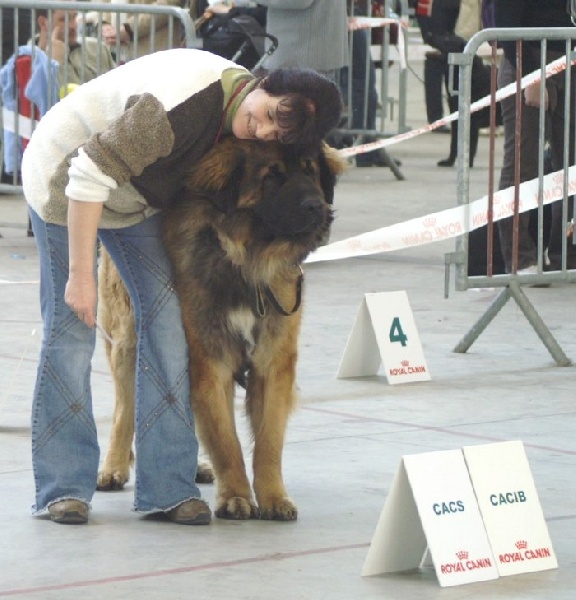 CH. Ballisto quimm charme byzance dit balkim du Mont de Gaïa - 1 er Ex en intermédiaire -CACS-CACIB