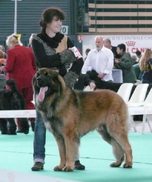 CH. Ballisto quimm charme byzance dit balkim du Mont de Gaïa - assez bon