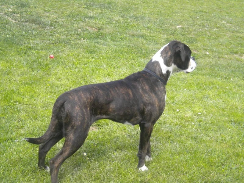 Eloa du mas du Perigord blanc