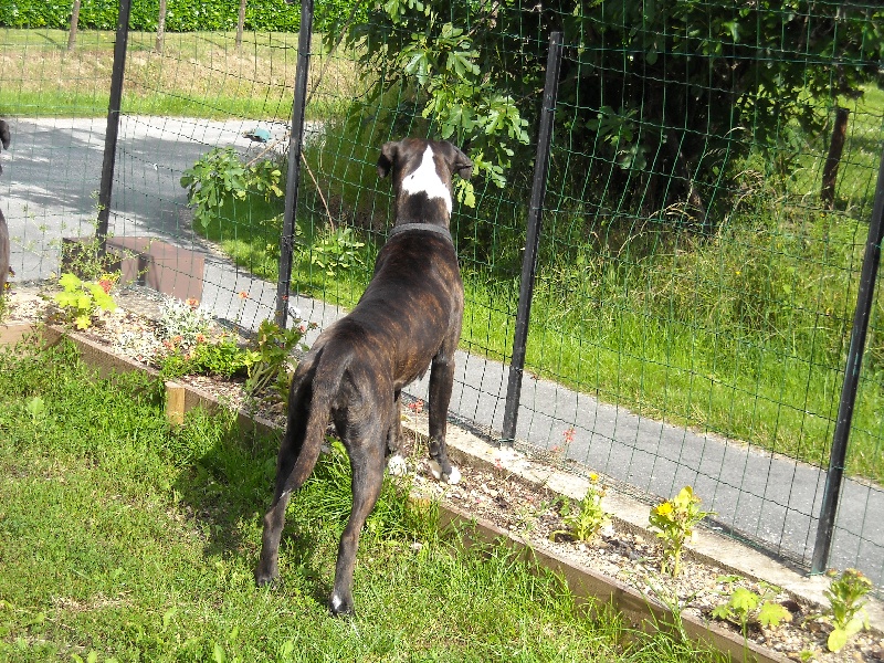 Eloa du mas du Perigord blanc