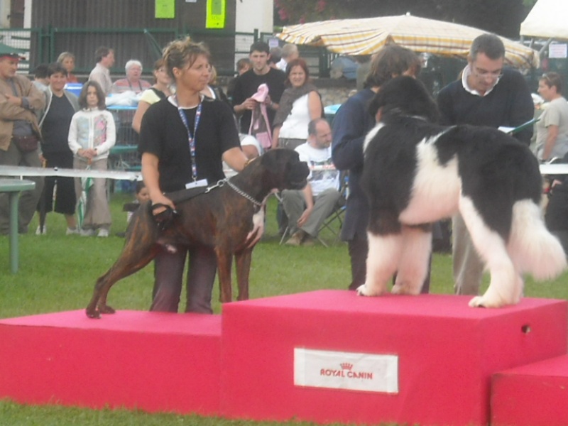 Cacao du mas du Perigord blanc - meilleure jeune et 2° du groupe 2