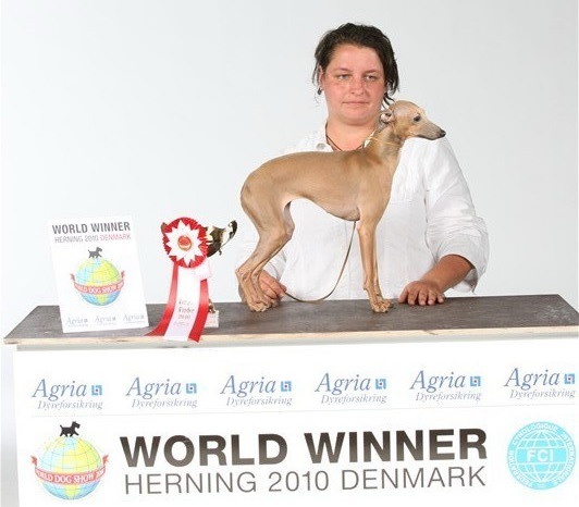 CH. Charlotte Forum Romanum - V1 Junior World Winner 2010