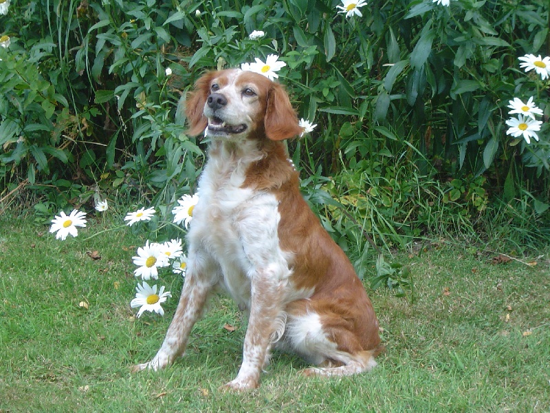 Publication : de la Côte d'Albâtre Auteur : A;Lancien