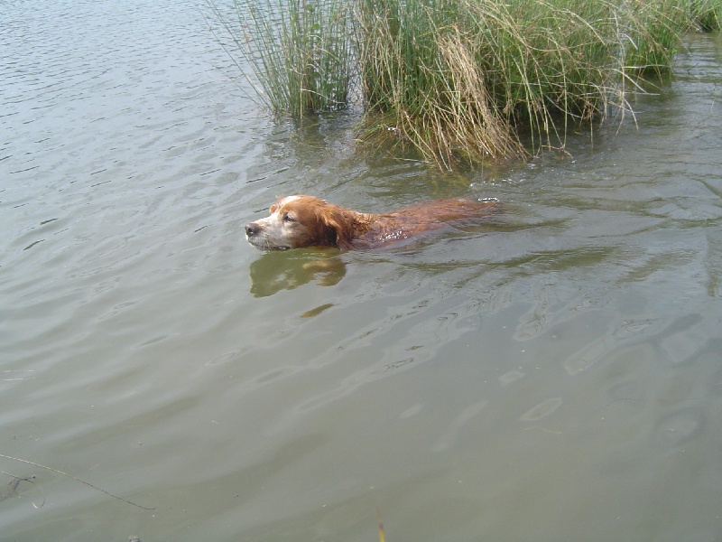 Publication : de la Côte d'Albâtre Auteur : A;Lancien