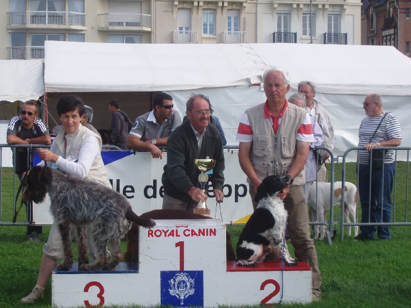 TR. Undigo de la Côte d'Albâtre - 1er Exc CACS - Meilleur de race - 2ème du 7e groupe