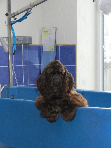 Publication : des jardins de Loane