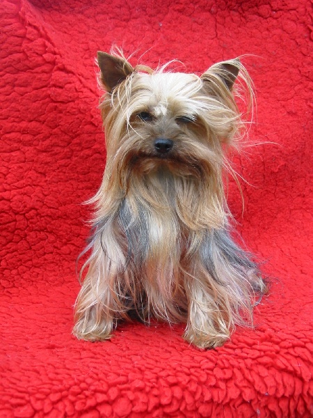 Publication : De la hoopa valley