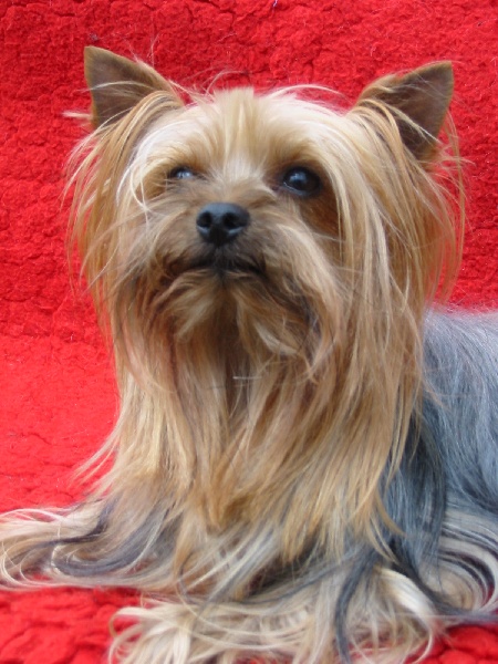 Publication : De la hoopa valley