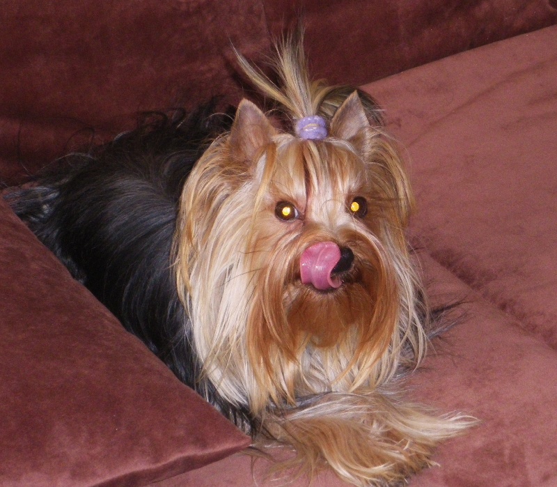 Publication : De la hoopa valley Auteur : Frank LEVITTE