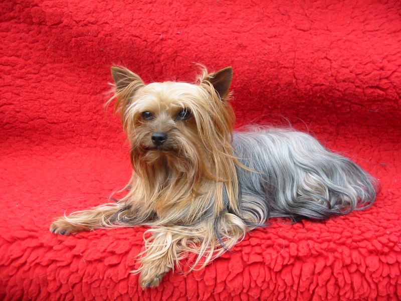 Publication : De la hoopa valley