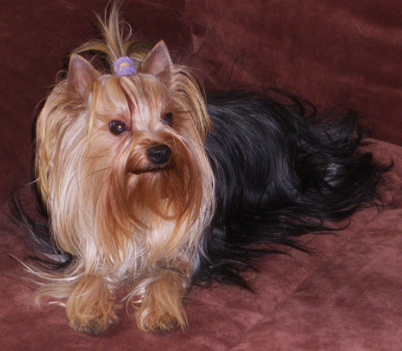 Publication : De la hoopa valley Auteur : Frank LEVITTE