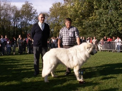 CH. Aspin Du val du lavedan - meilleur chien de la régionale d'élevage