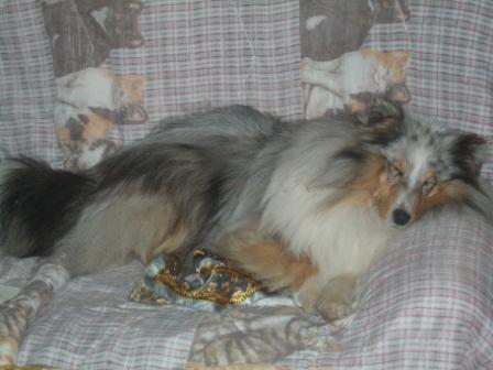 Eragon de la Chambrette Agenaise