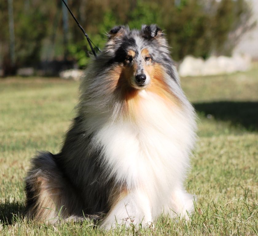 Publication : de Remember our Love Auteur : Marques