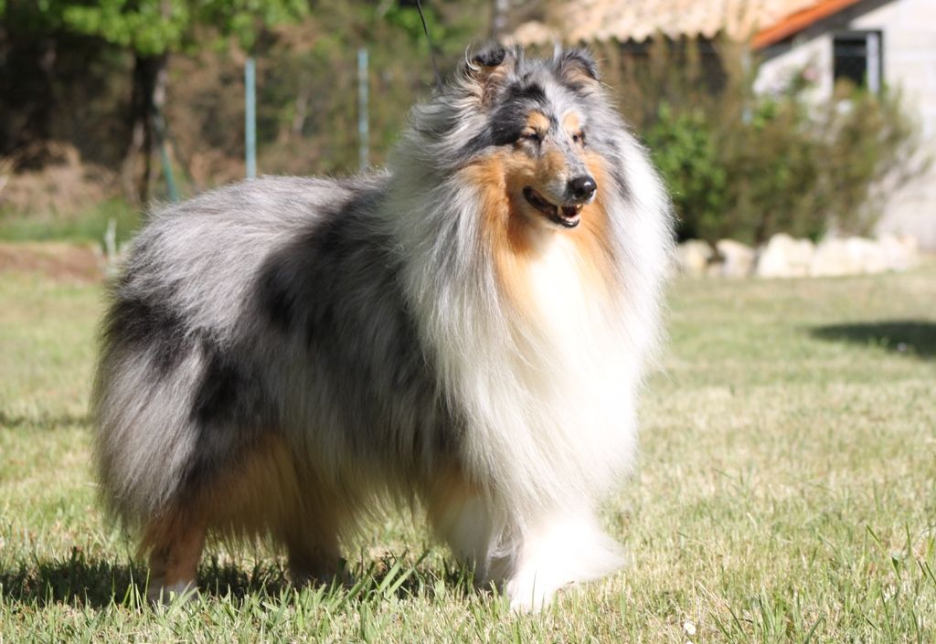 Publication : de Remember our Love Auteur : Marques