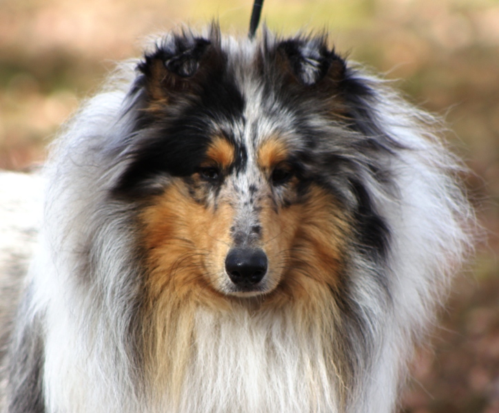 Publication : de Remember our Love Auteur : Marques