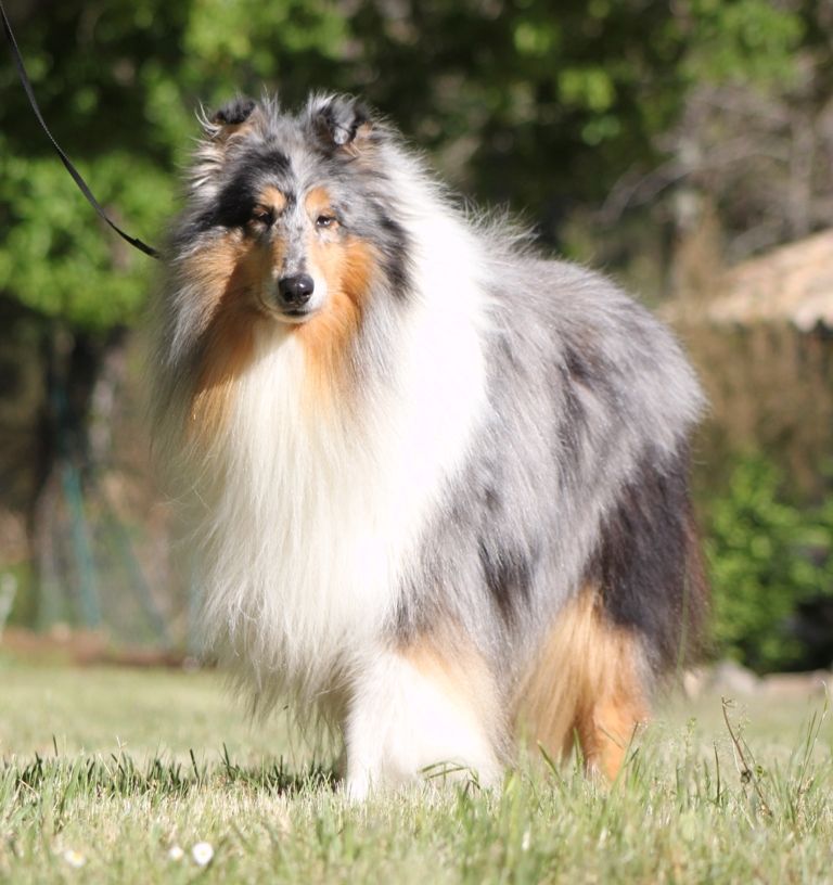 Publication : de Remember our Love Auteur : Marques