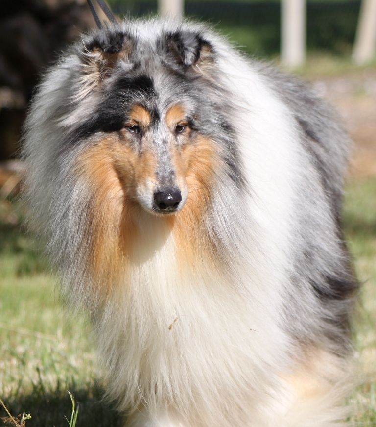 Publication : de Remember our Love Auteur : Marques