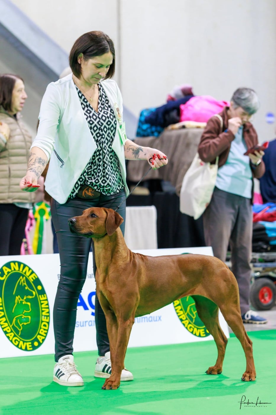 Azzah shani du Royaume de l'Espina