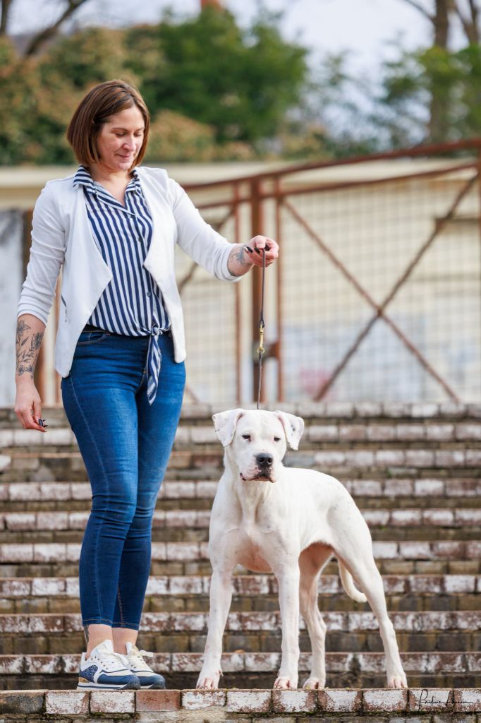 Uranga rose du Royaume de l'Espina - 1ère excellent en classe intermédiaire - CACS - BOB