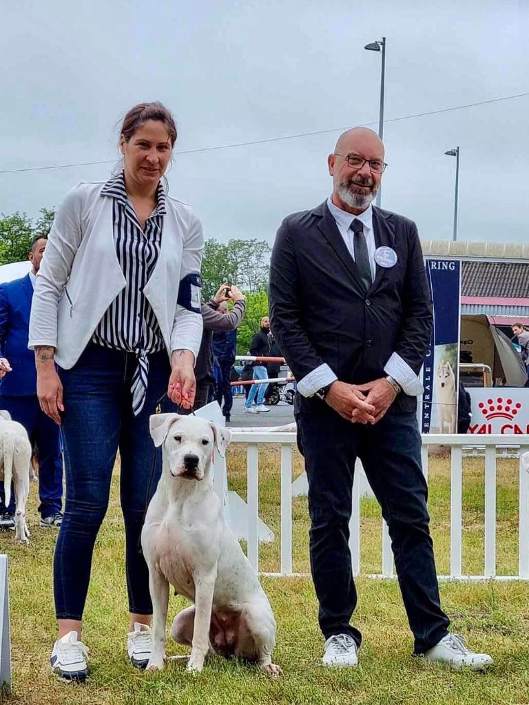 Uranga rose du Royaume de l'Espina - 1ère excellent en classe jeune - CACIB Jeune - Meilleur Jeune