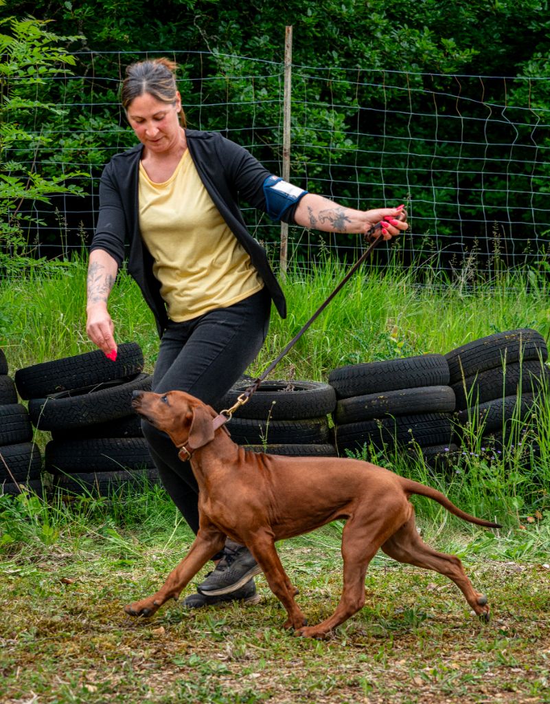 Azzah shani du Royaume de l'Espina - 1ère très prometteur en classe baby