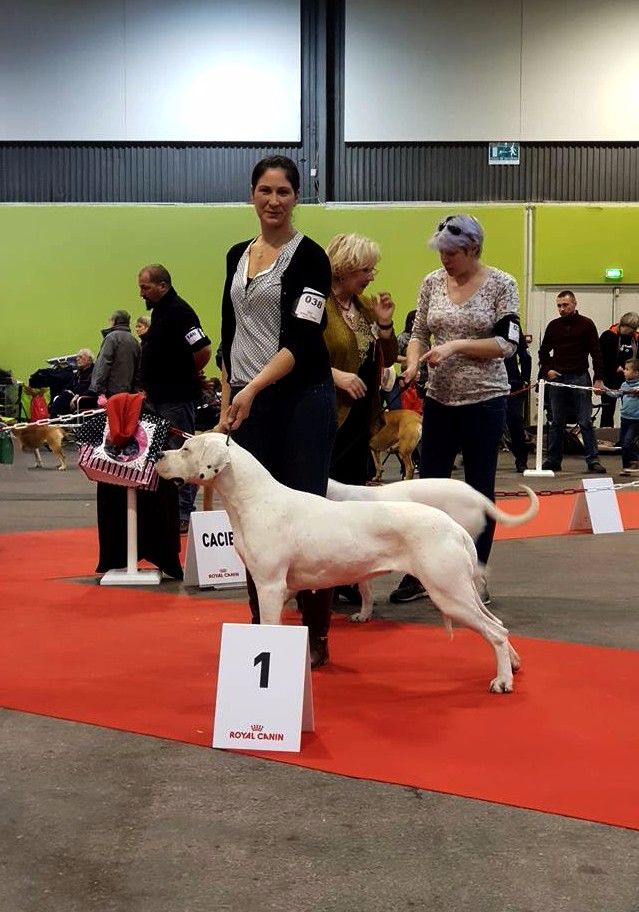 Nueva du Royaume de l'Espina - 1ère excellent en classe intermédiaire - RCACS